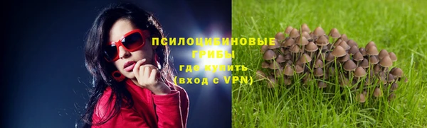 тгк Белокуриха