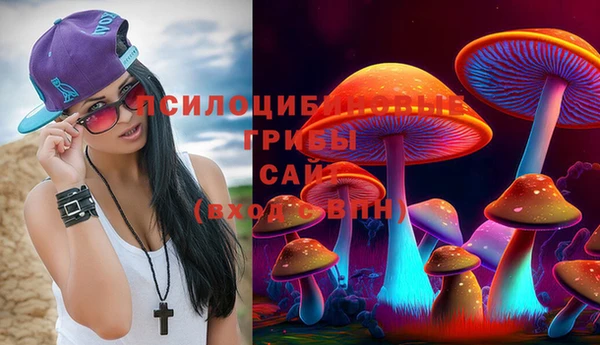 амф Беломорск