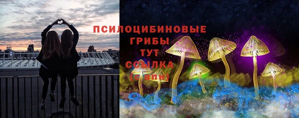 тгк Белокуриха