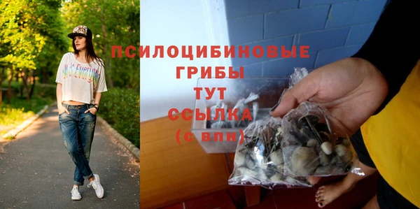 амф Беломорск